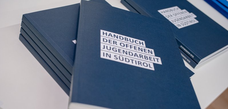 pressekonferenz_oja-handbuch_2020-8.jpg