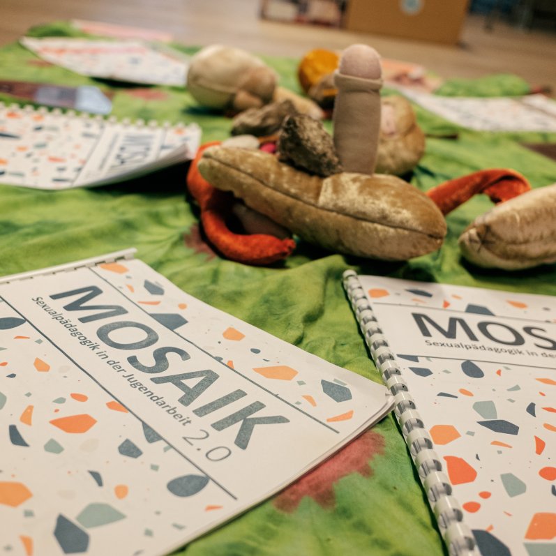 mosaik_schulung_23_09_24-6.jpg
