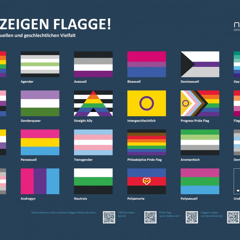 v_b_gender_wir_zeigen_flagge_22.jpg