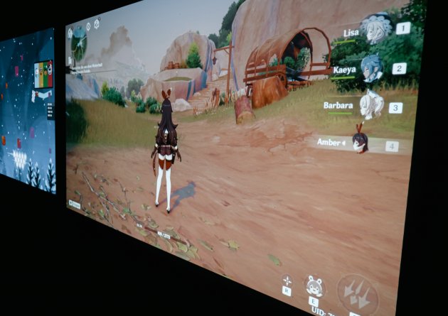 gfk_gaminggender_23-21.jpg