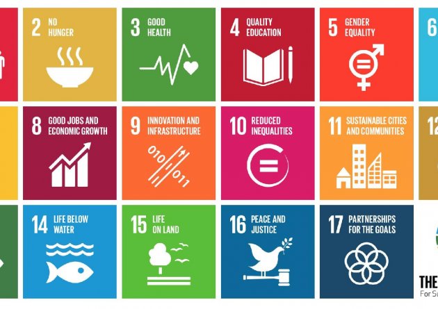 global-goals-full-icons.png_2318x1180_q85_crop_subsampling-2_upscale.jpg