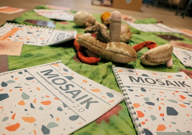 mosaik_schulung_23_09_24-6.jpg