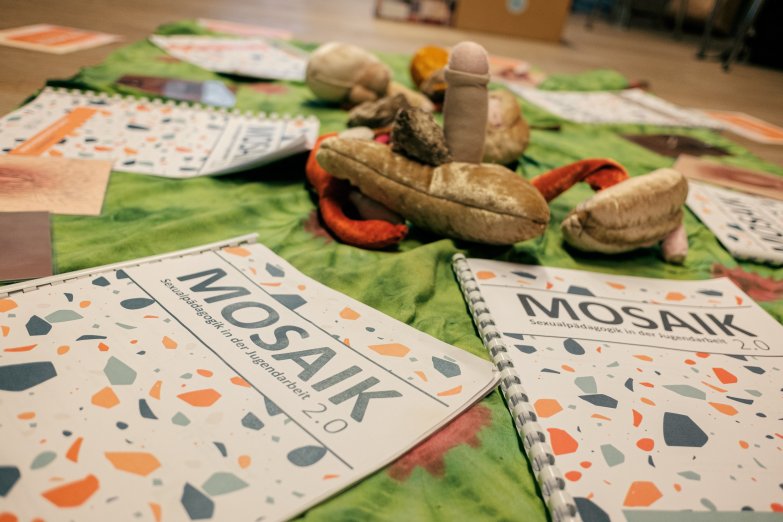 mosaik_schulung_23_09_24-6.jpg